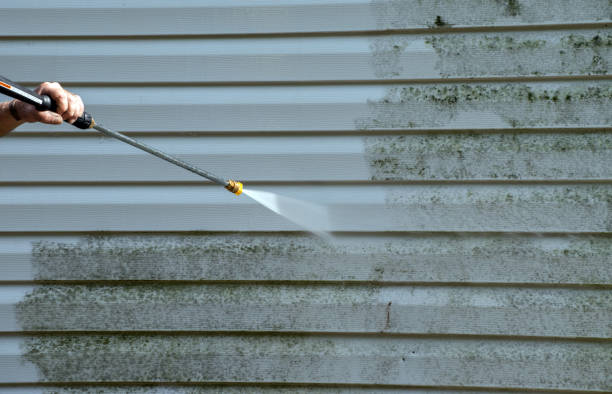 Best Gutter Cleaning  in Inverness, IL